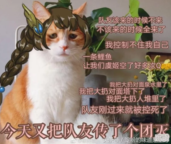 王者荣耀中哪位玩家使用的诸葛亮角色最强，最新赛季数据分析