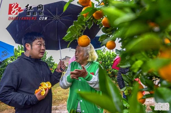 舌头伸进下面我很爽的动态图近日在社交媒体上引发热议网友们纷纷分享自己的看法并讨论相关内容让人忍不住想一探究竟