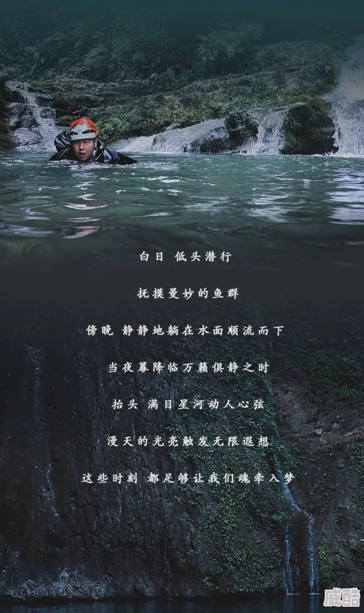 金鲤岂是池中物双面劫匪（国语版）勇敢面对挑战追求梦想成就自我