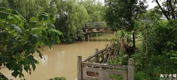 开车视频有声音免费软件下载最新版本上线新增海量高清视频资源