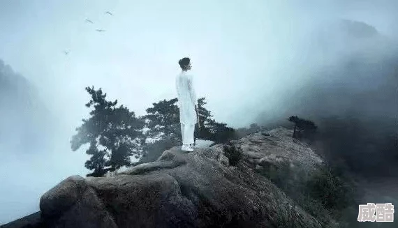 2025年还有哪些值得期待的经典蒸汽火车游戏？
